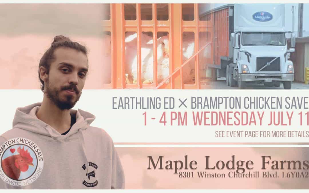 Brampton Chicken Save & Earthling Ed Special Vigil