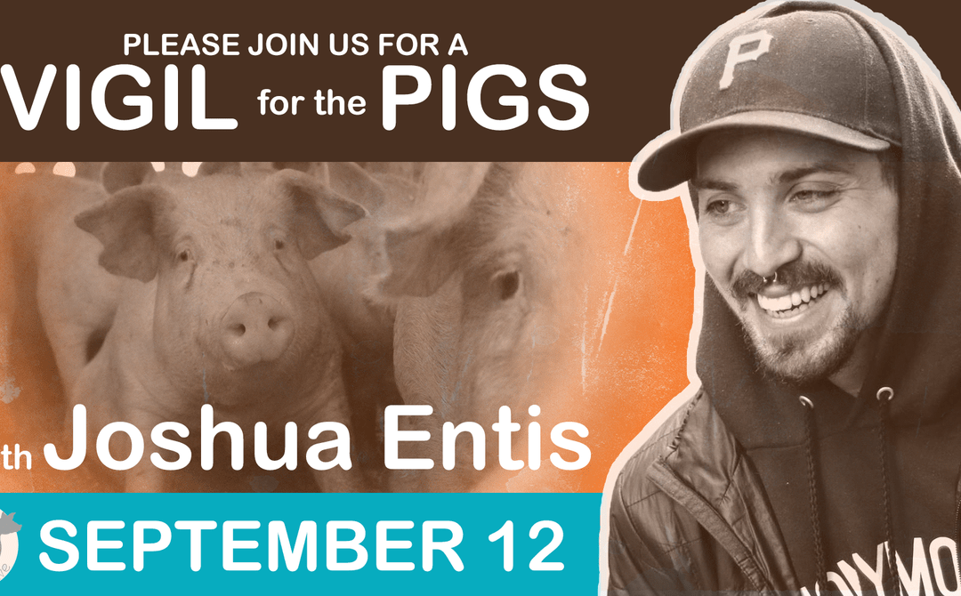 KW Animal Save Vigil with Joshua Entis