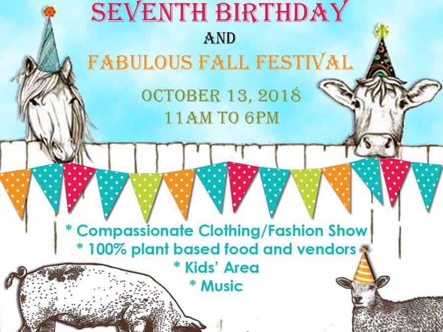 Wishing Well’s 7th Birthday Celebration & Fall Festival