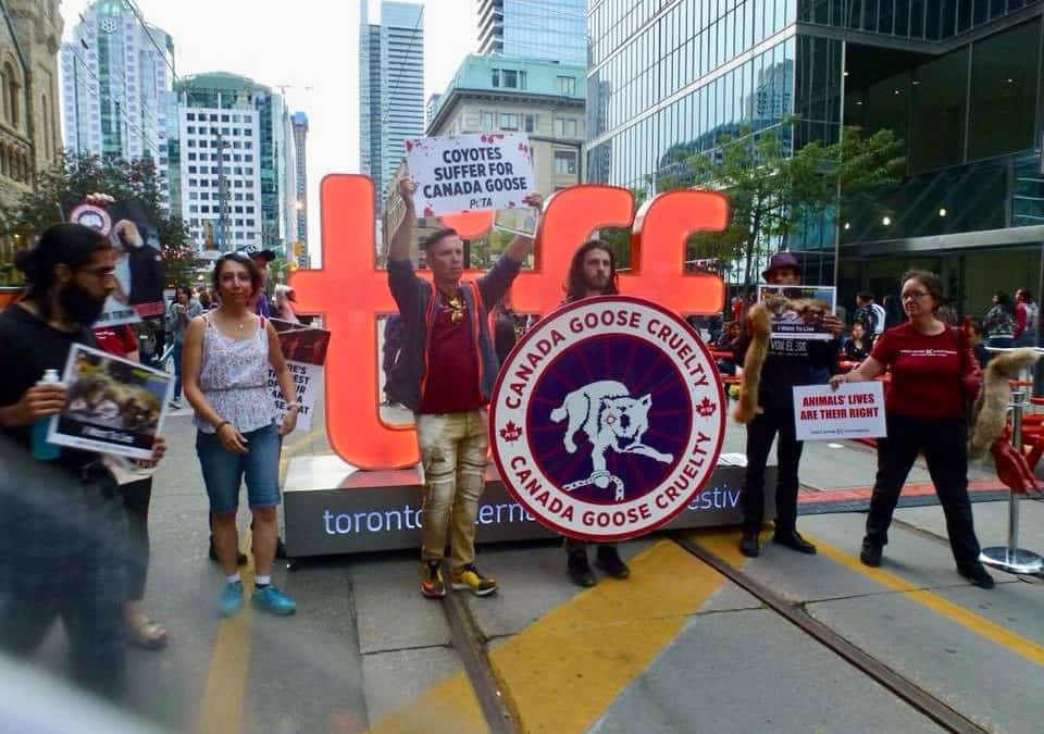 DxE at the TIFF Awards Ceremony with PETA