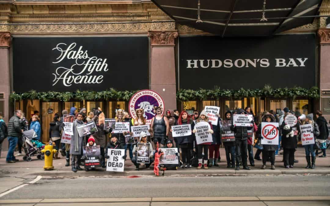 3rd Canada Goose Protest at Saks Fifth Avenue