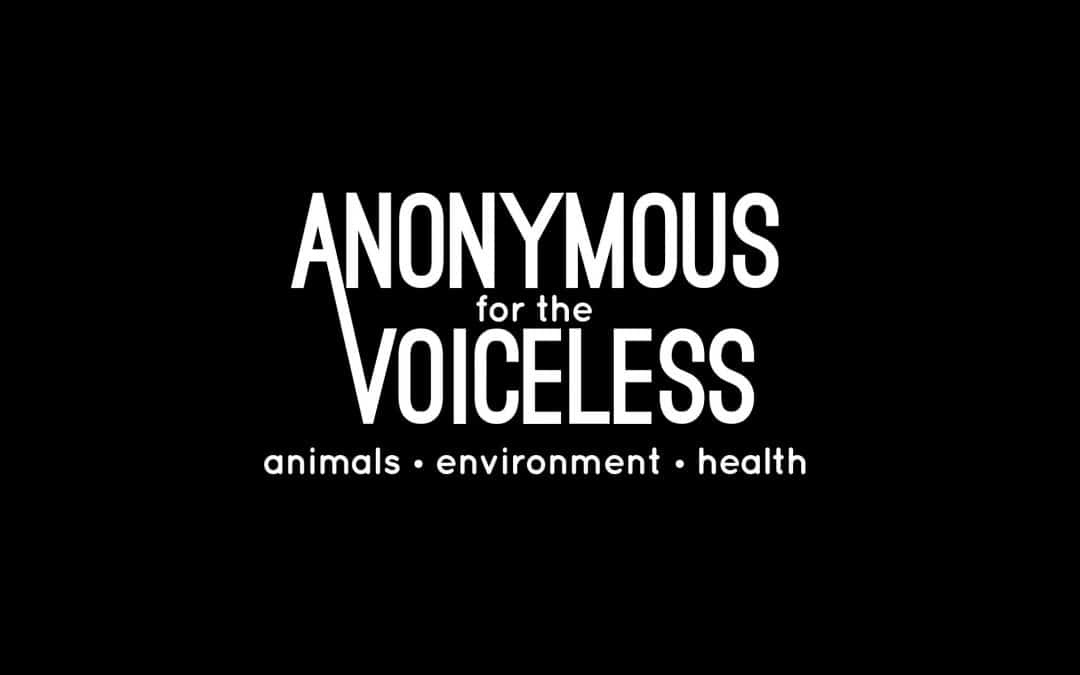 Anonymous for the Voiceless – Cube of Truth
