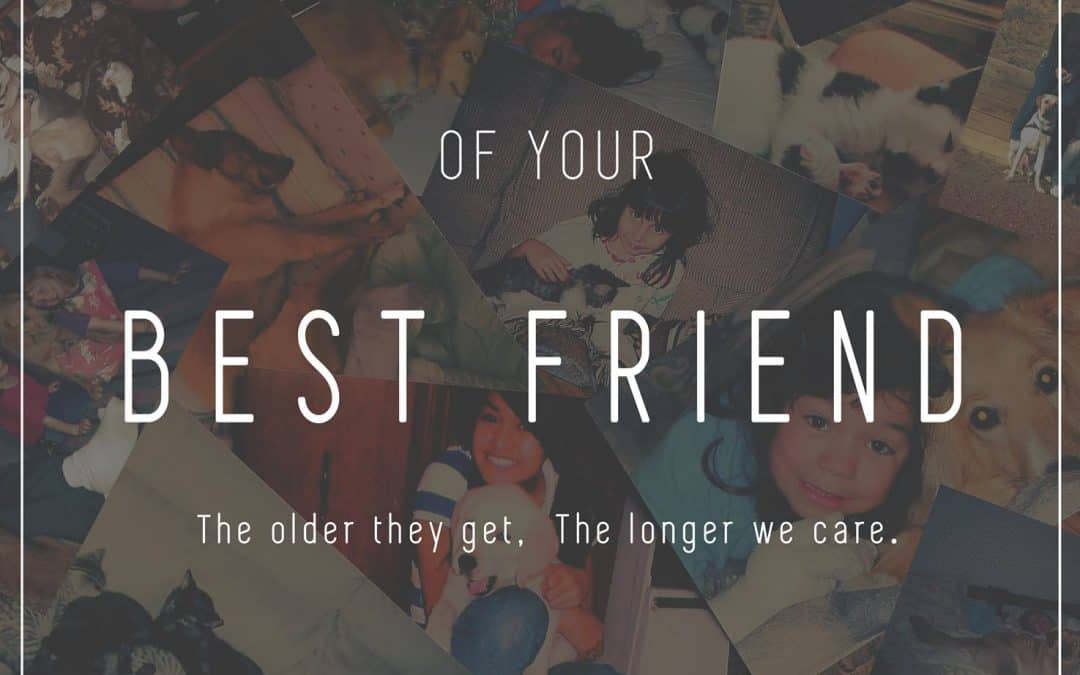 ‘The Final Years of Your Best Friend’ Film Premiere