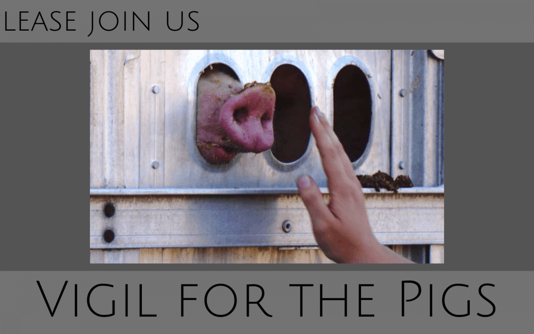 KW Animal Save Pig Vigil (Monthly)