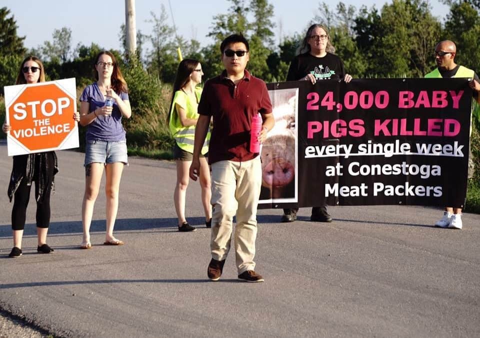 KW Animal Save Vegan Outreach