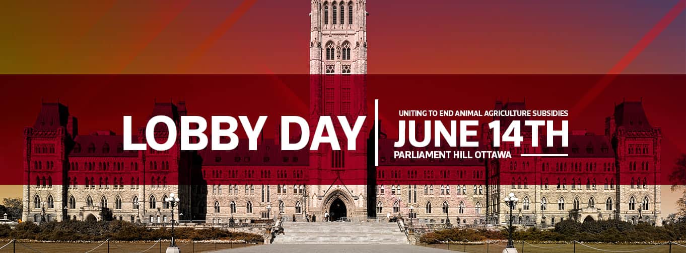 Nation Rising lobby day