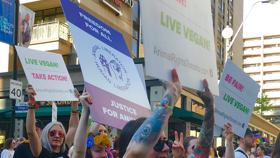 ARA's march in Veggie Parade