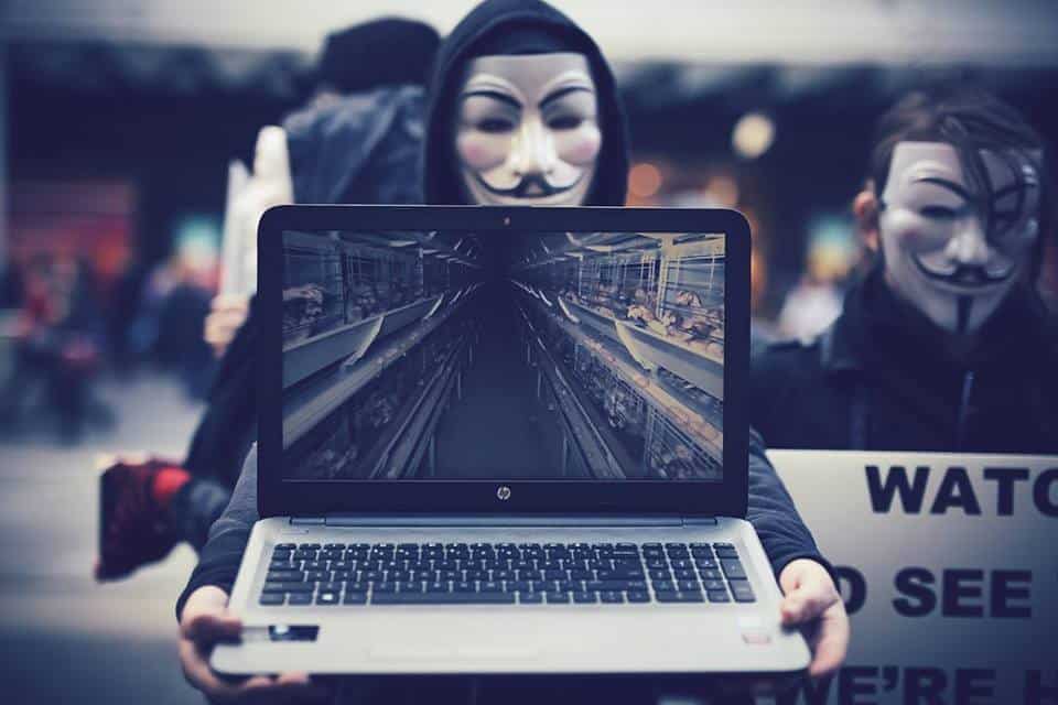 AV cube of truth