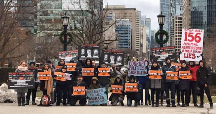 protest against bill 156