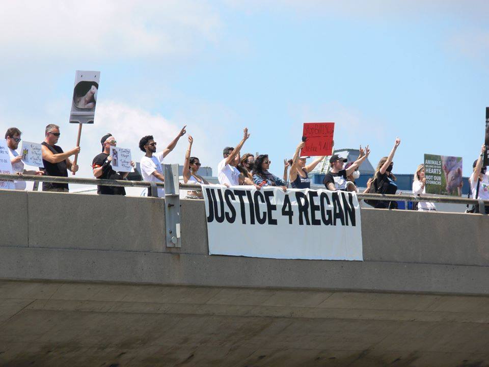 Justice for Regan Russell - Halton Police rally