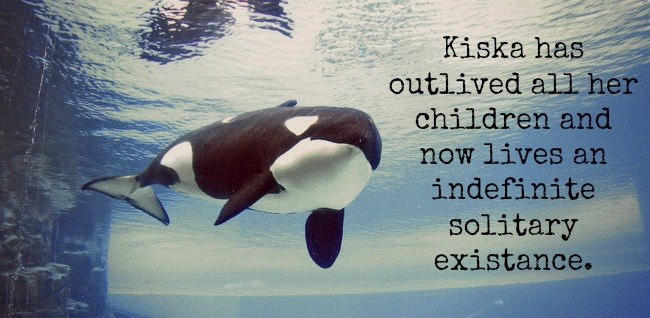 Marineland Closing Weekend Demo