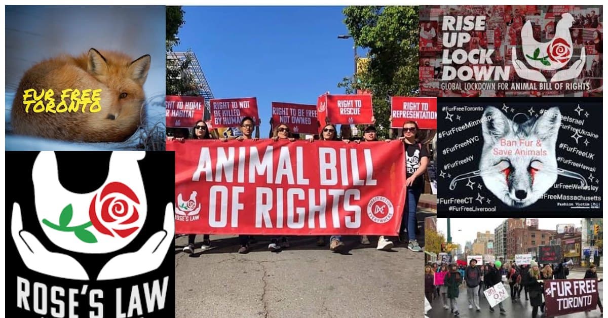 Fur Free Toronto protest