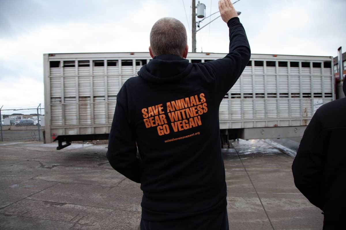 Toronto Cow Save vigil