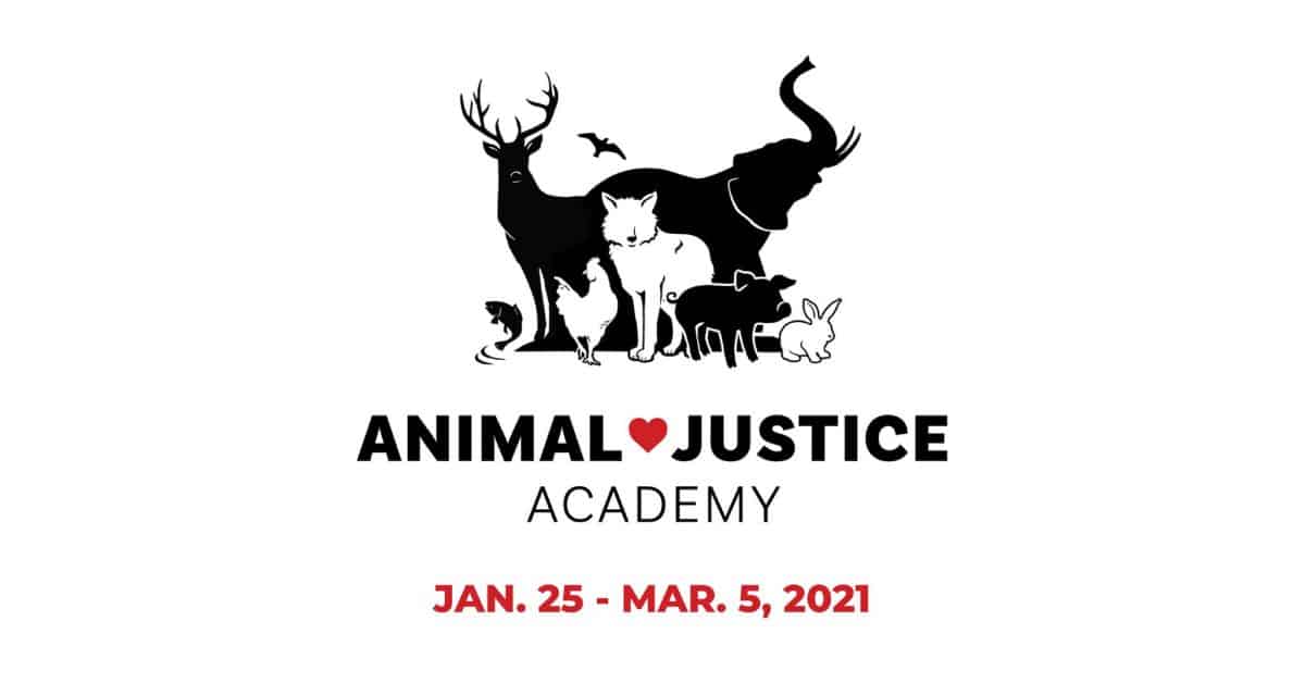 Animal Justice Academy