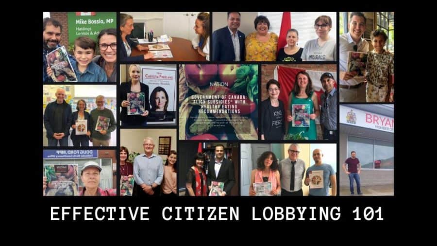 Effective citizen lobbying