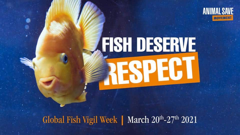 Fish global week of action