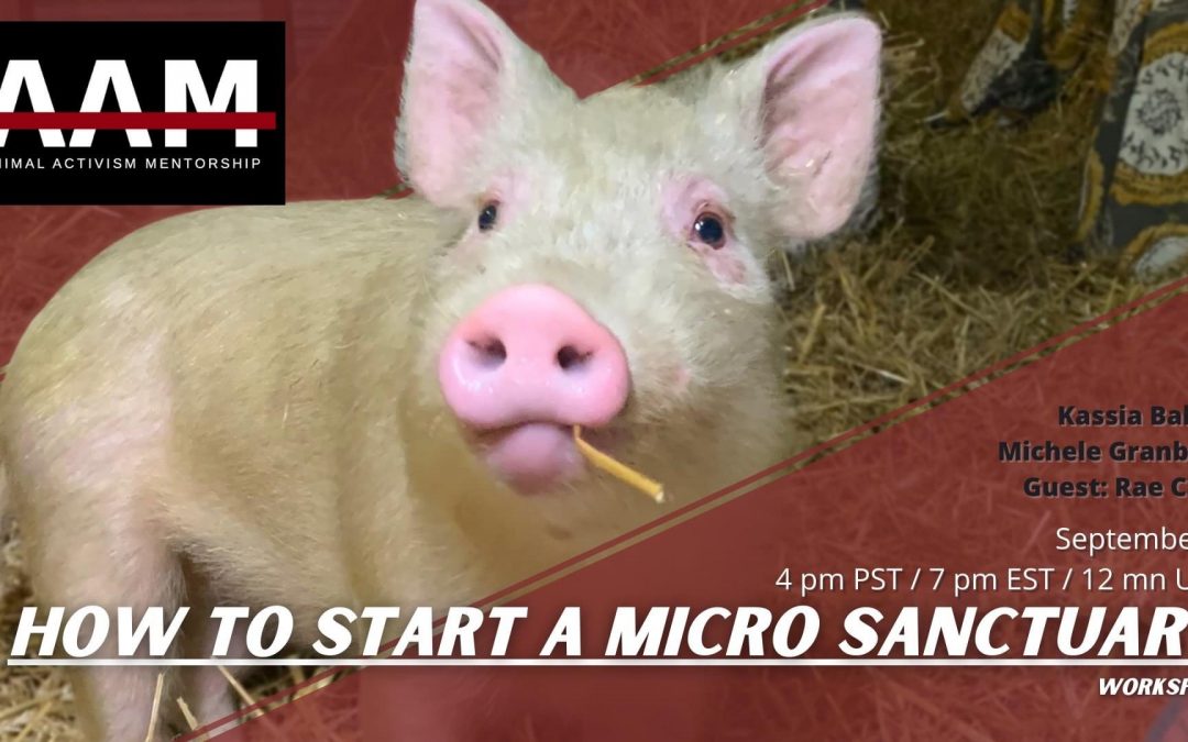 AAM presents: How to Start a Micro Sanctuary